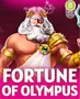 FORTUNE OF OLYMPUS