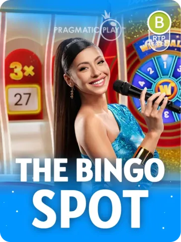 THE BINGO SPOT THE BINGO SPOT